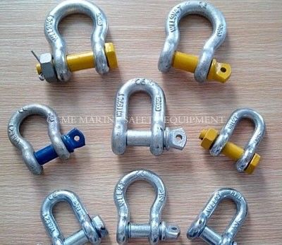 Porcelana Marine Bow Shackle And D Shackle  Marine Hardware proveedor