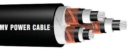Porcelana Cables marinos de cobre aislados XlPE proveedor