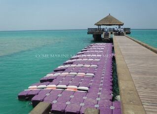 Pontoon flotante de HDPE Plataforma flotante Puente flotante Casa flotante proveedor