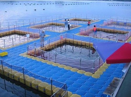 Cubo de pontón flotante PE Plataforma flotante para botes y jet ski proveedor