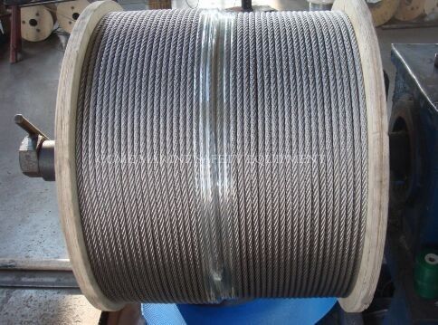 Hot 304 316 Stainless Steel Wire Ropes proveedor