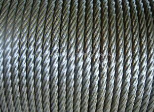 Marine Stainless Steel Rope Galvanized Steel Rope Hot Dipped Galvanized Steel Wire Rope proveedor