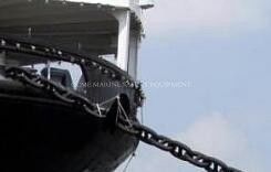 Enlaces de anclaje marinos de perno de buque proveedor